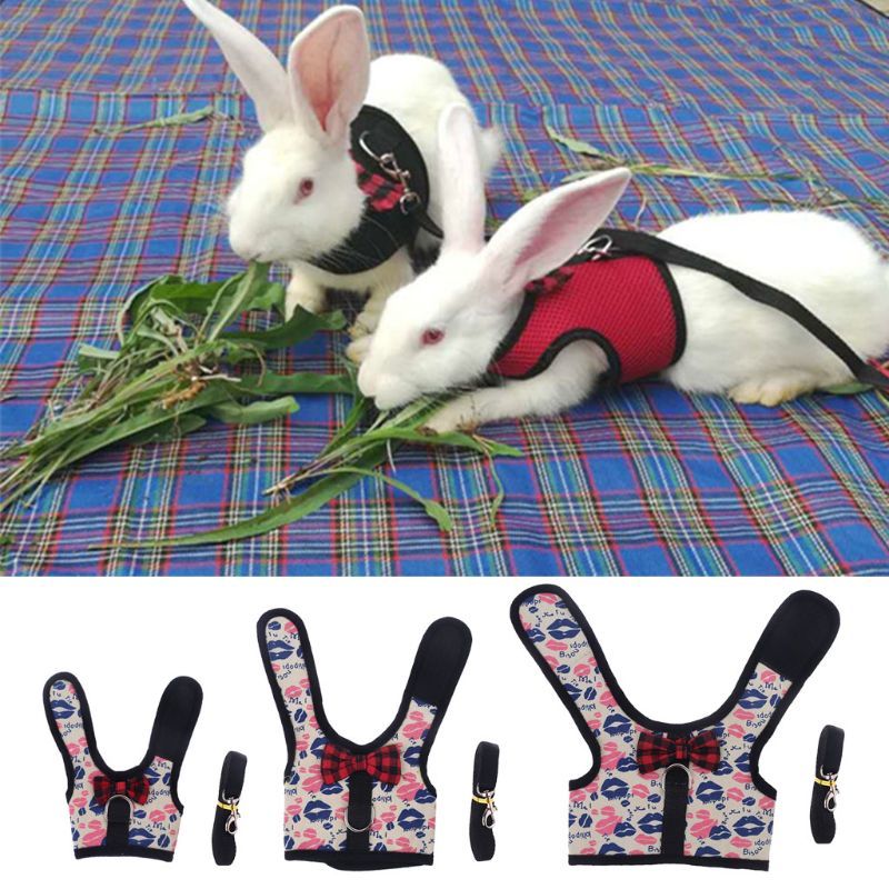 Outdoor Rabbit Harness Belt Set Small Pet Vest Doek Hiking Lead