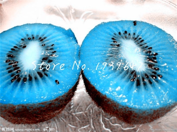100 Pcs seeds Mini Kiwi Fruit,Thumb tree,Bonsai Organic Heirloom Vegetable bonsai, Rare Potted Plant for Home Garden Natural Growth Variety of Colors Aerobic Potted
100 Pcs seeds Mini Kiwi Fruit,Thumb tree,Bonsai Organic Heirloom Vegetable bonsai, Rare Potted Plant for Home Garden Natural Growth Variety of Colors Aerobic Potted
