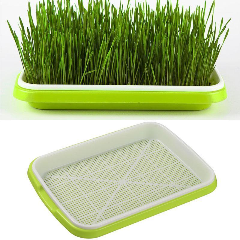 Planters & Pots Bean Sprouts Double-layer Dishes Plate Seedling Tray Plastic Hydroponic Flower Basket Plant Home Garden Nursery
Planters & Pots Bean Sprouts Double-layer Dishes Plate Seedling Tray Plastic Hydroponic Flower Basket Plant Home Garden Nursery