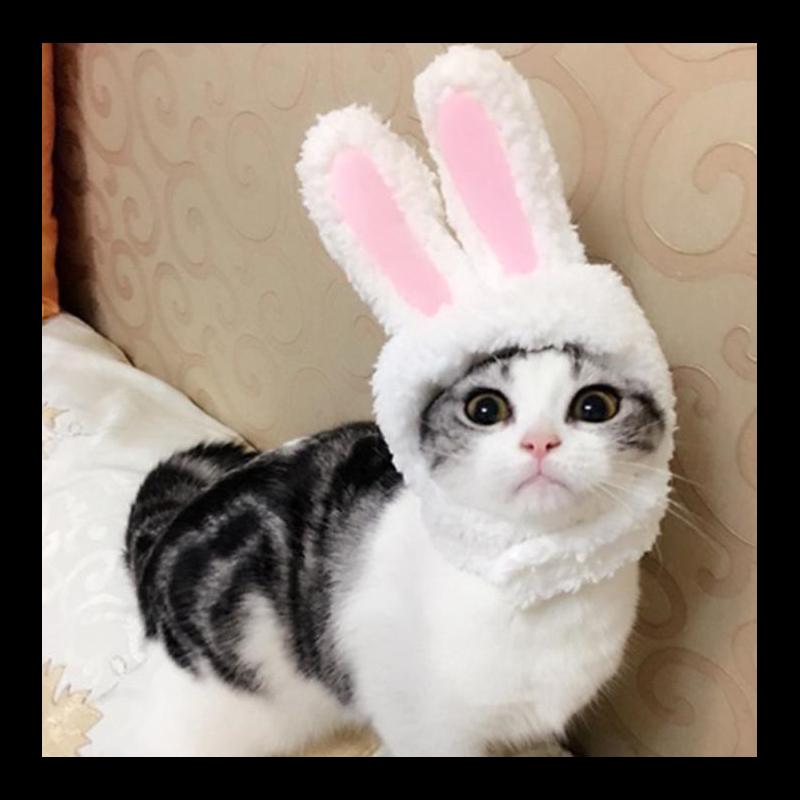 Cat Costumes Pet Dog Cap Costume Warm Hat Year Party Christmas Cosplay Accessories Po Props Headwear
Cat Costumes Pet Dog Cap Costume Warm Hat Year Party Christmas Cosplay Accessories Po Props Headwear