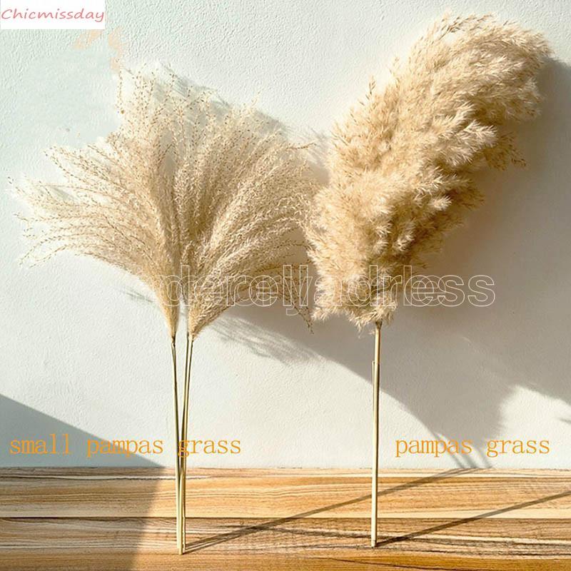 real pampas grass decor natural dried flowers plants wedding flowers dry flower bouquet fluffy lovely for holiday home decor fast ship, Shipping cost for vip
real pampas grass decor natural dried flowers plants wedding flowers dry flower bouquet fluffy lovely for holiday home decor fast ship, Shipping cost for vip