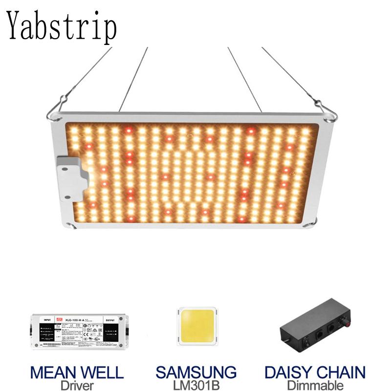 DImmable SF 1000 LED Grow Lights Full Spectrum IP65 Samsung LM301B Meanwell Quantum Board Lamps For Indoor Flower VEG Tent Box
DImmable SF 1000 LED Grow Lights Full Spectrum IP65 Samsung LM301B Meanwell Quantum Board Lamps For Indoor Flower VEG Tent Box