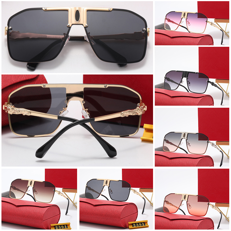 Oversized Big Sungl… - image