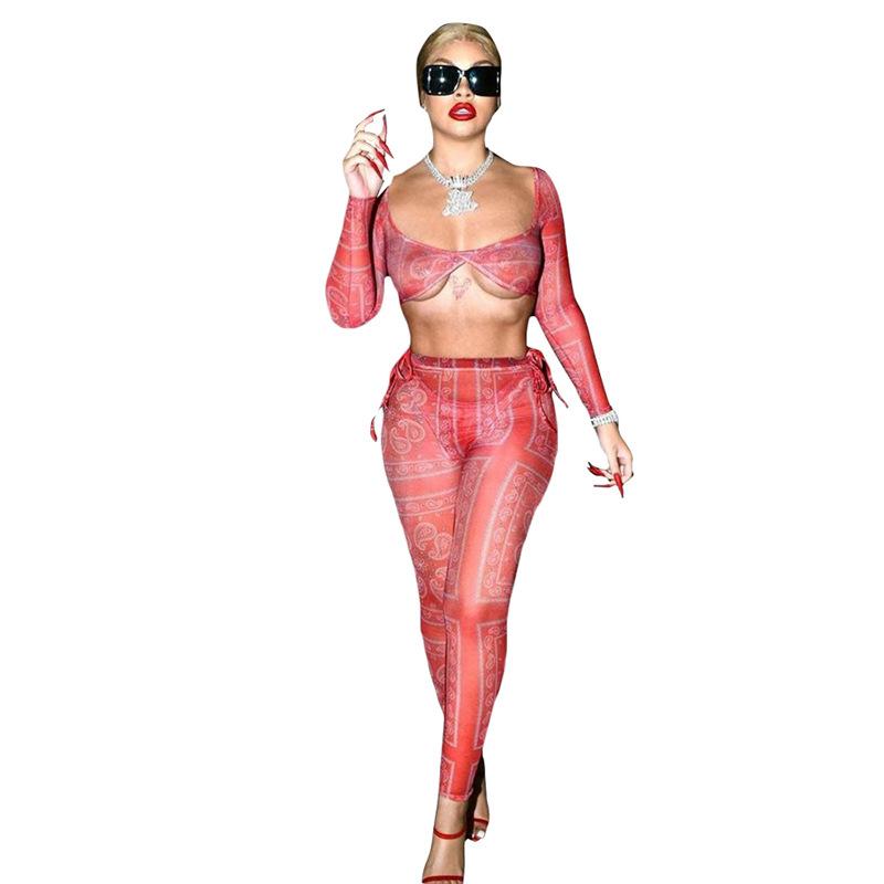 Bandana Print Sheer Mesh Two Piece Set Long Sleeve Crop Top Leggings 2pc Club Outfits For Women Matching Sets D87CZ16 Women0394951826