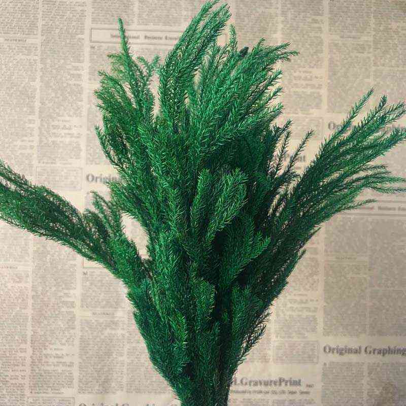20-30CM/30g Real Dried Natural Fresh Forever Lycopodium Branches,Decorative Club Moss Bouquet,Dry preserved Eternal Grass,Home 220112, 01
20-30CM/30g Real Dried Natural Fresh Forever Lycopodium Branches,Decorative Club Moss Bouquet,Dry preserved Eternal Grass,Home 220112, 01