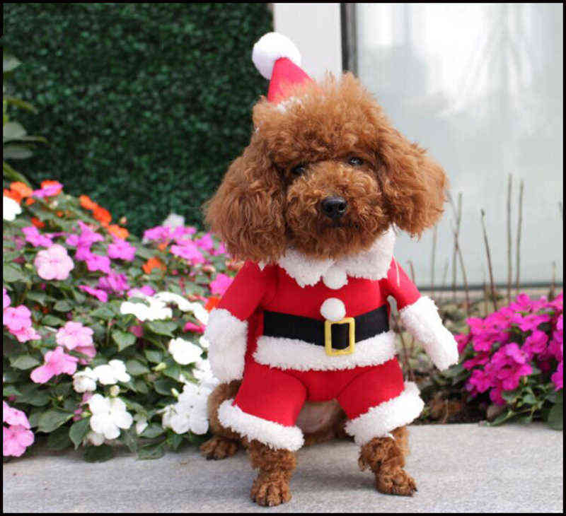 2025 new Christmas Pet Dog Cat Costumes Funny Santa Claus Costume For s Cats Winter Warm Clothes Chihuahua Pug Yorkshire Clothing 220125