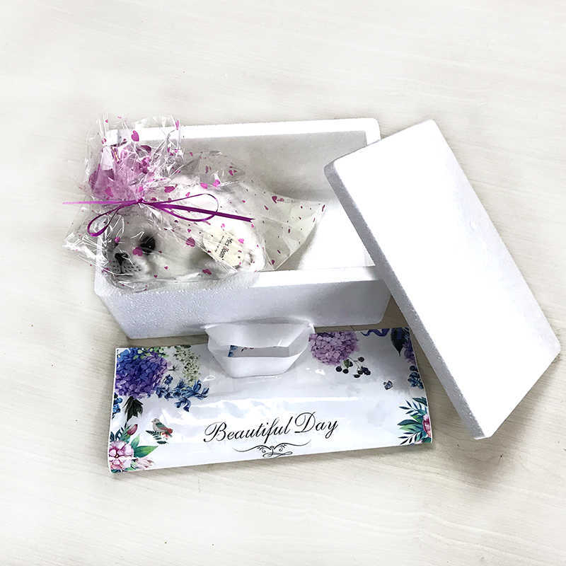 Dropshipping Soft Cute Seals Plush Toy Sea World Animal Sea Lion Plush Stuffed Doll Baby Birthday Gift for Kids Girls Gift White Q0727