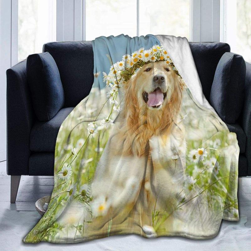 Golden Retriever Super Soft Throw Blanket 40"x50" Lightweight Fluffy Flannel Fleece For Couch Bed Sofa Travelling Blankets
Golden Retriever Super Soft Throw Blanket 40"x50" Lightweight Fluffy Flannel Fleece For Couch Bed Sofa Travelling Blankets