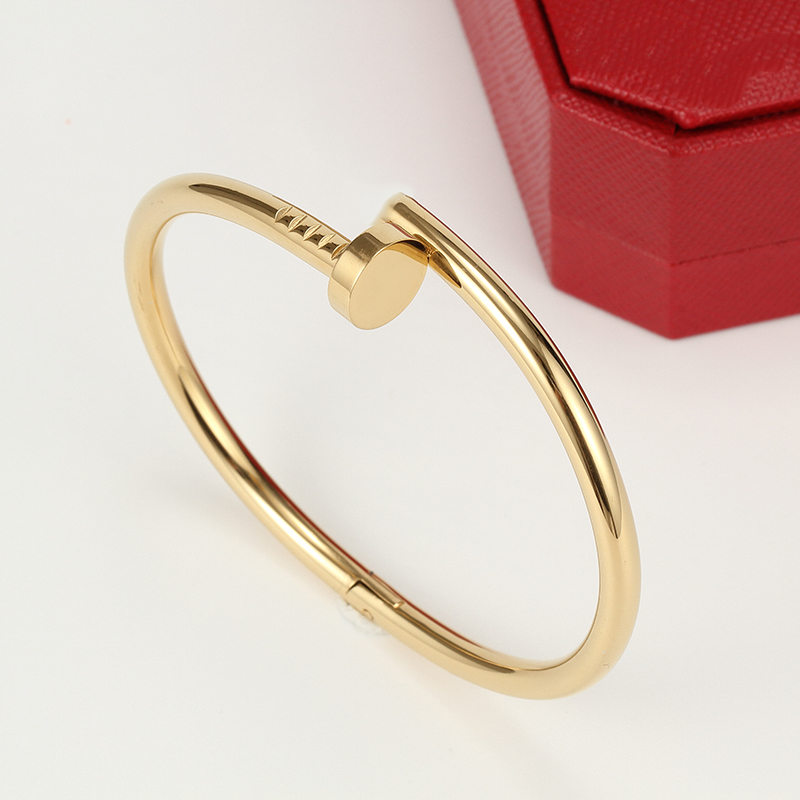 Designer Bangle Titanium Steel Nail Lovers Bracelet European and American Fashion Jewelry 16CM 19CM L-Ca05, Black
Designer Bangle Titanium Steel Nail Lovers Bracelet European and American Fashion Jewelry 16CM 19CM L-Ca05, Black