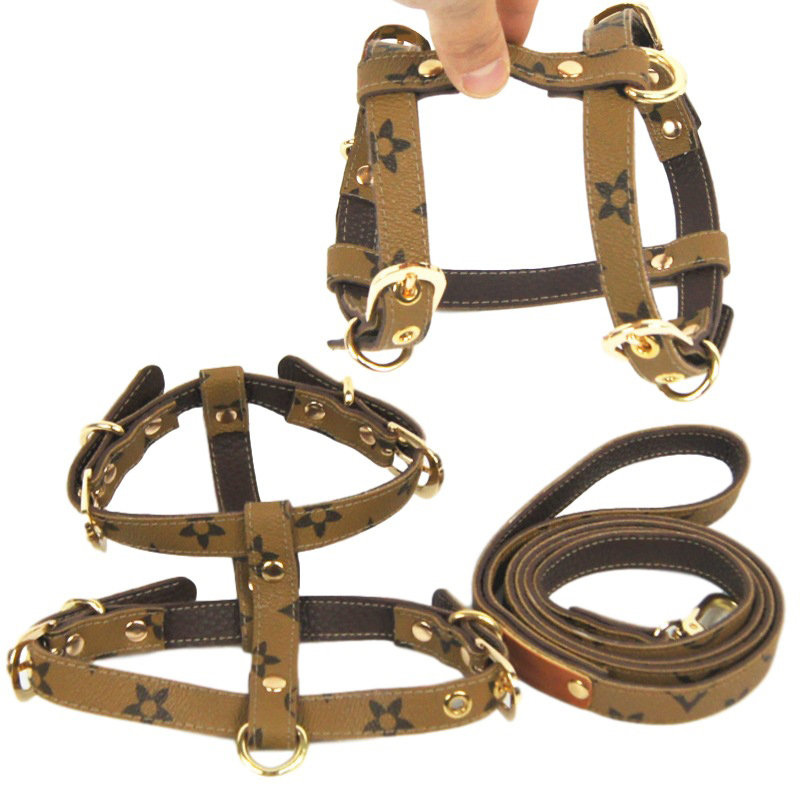Fashion Leather Dog Collars Classic Pet Chest Strap England Style Puppy Collar for French Bulldog Corgi Schnauzer
Fashion Leather Dog Collars Classic Pet Chest Strap England Style Puppy Collar for French Bulldog Corgi Schnauzer