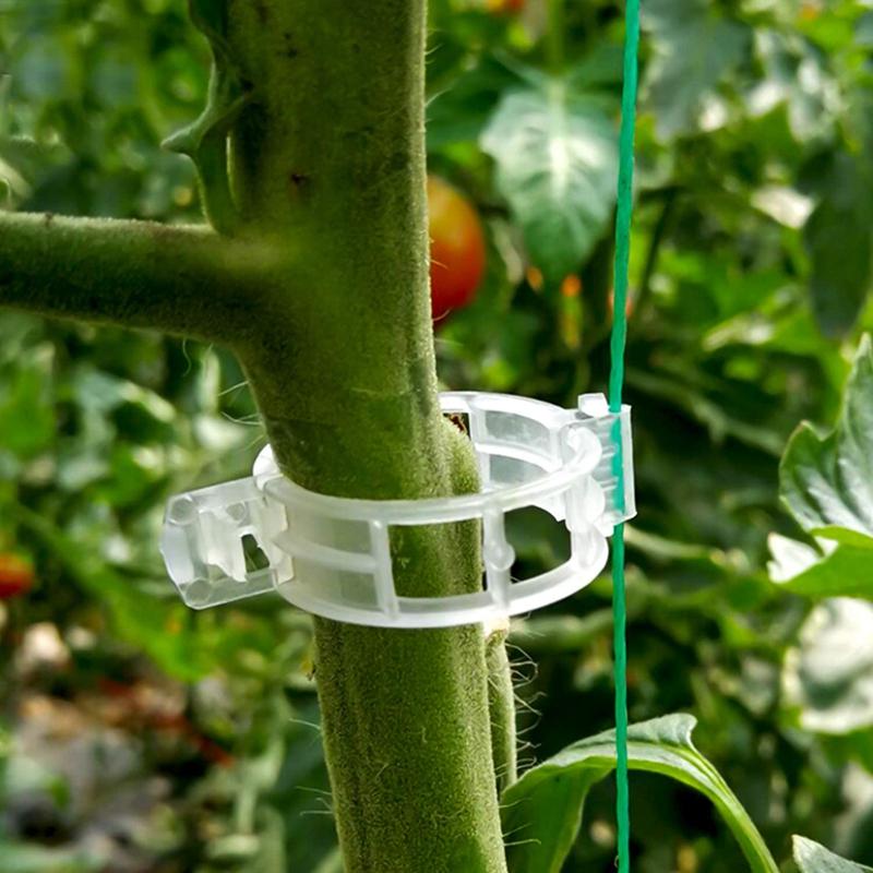 Other Garden Supplies 1 Inch Diameter 500Pcs Plant Support Clip White Tomato Trellis Clips For Vine Vegetables Flower To Grow Uprightly