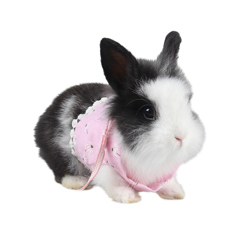 Ferrets Guinea Pig Vest Hoodie Small Pet Clothes Outdoor Traction Leash Rope Rabbit Harness Leash Set Hamster Mouse Costume
