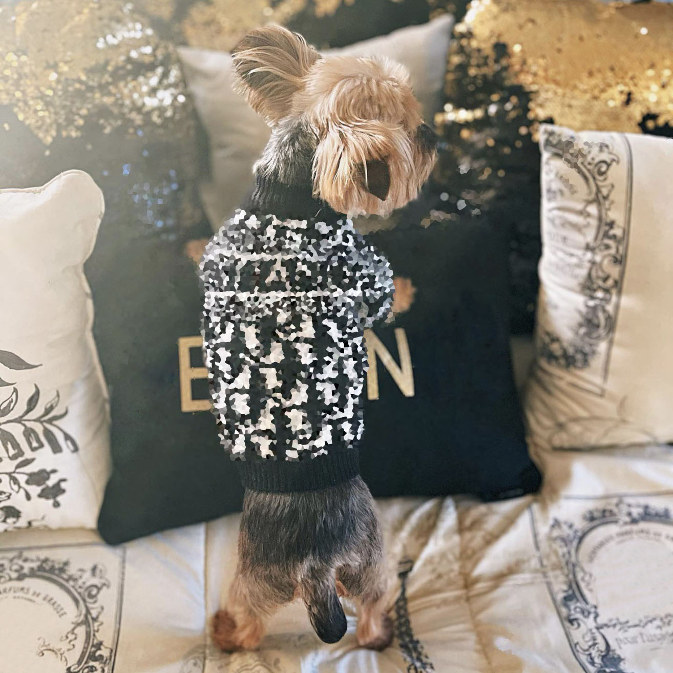 Dog Apparel Fashion Designer Sweater for Small Medium Dogs Letter Print Embroidery Schnauzer Sweaters Classic Soft Warm Autumn Winter Pet Clothing, Black
Dog Apparel Fashion Designer Sweater for Small Medium Dogs Letter Print Embroidery Schnauzer Sweaters Classic Soft Warm Autumn Winter Pet Clothing, Black