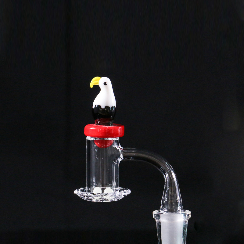 Smoking Quartz Banger Nails Full Weld Beveled Edge Blender For Oil Dab Rig Glass Bongs
Smoking Quartz Banger Nails Full Weld Beveled Edge Blender For Oil Dab Rig Glass Bongs