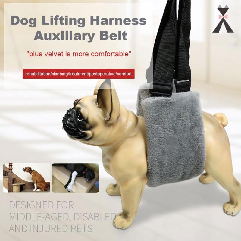 Portable Weak Dog Harness Belt Pet Support Walking Assist Tool Lift Sling Ligament Rehabilitation Canine Aid Carrier Back Legs Collars & Lea
Portable Weak Dog Harness Belt Pet Support Walking Assist Tool Lift Sling Ligament Rehabilitation Canine Aid Carrier Back Legs Collars & Lea
