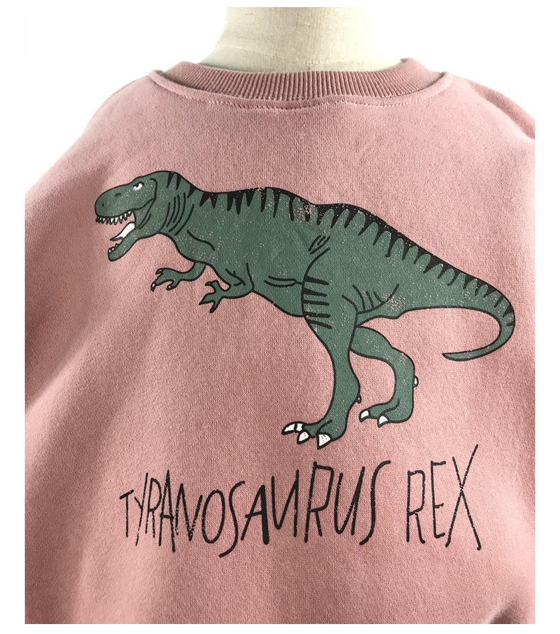 Winter Style Baby Clothing Toddler Boys And Girls Long Sleeve Dinosaurs Print Cotton Tops Kids Sweatshirt Clothes 0-6y 220309