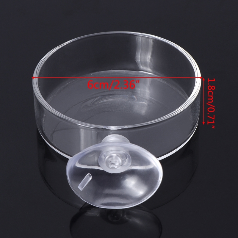 New arrival Aquarium Feeder Aquarium Garnalen Glass Voerbak Clear dish Load 40JA