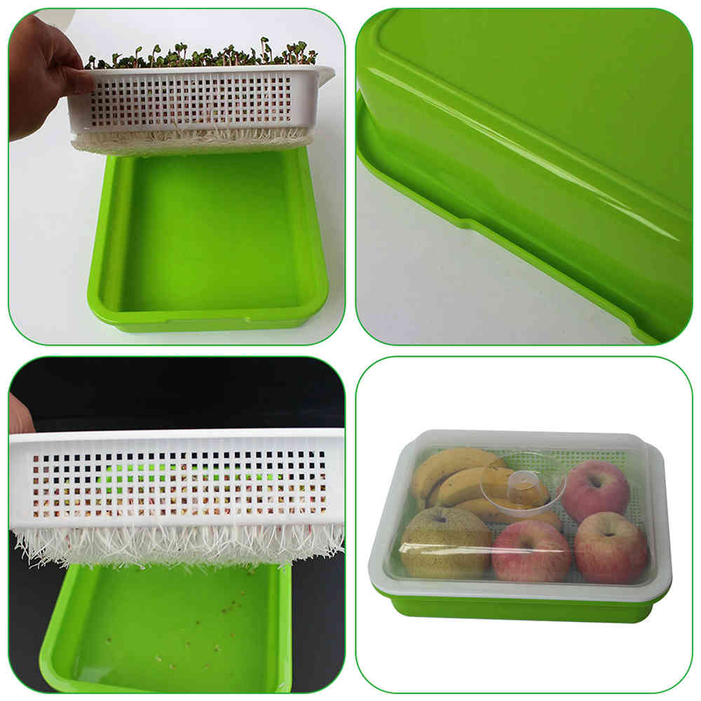 Insulation Tray Double Layer Encryption Seedling Tray Culture Beans Hydropinics Spourting Nursery Tray With Cover Storage Box