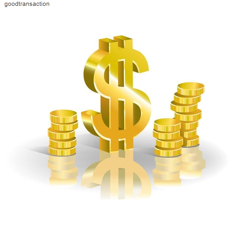 other item special link to pay fees extra fees