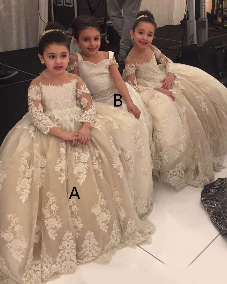 Vintage Champagne Lace Flower Girls Dresses A Line Full Sleeves Kids Formal Wear Jewel Neck Long Tulle Toddler Communion Dress Little Girl Pageant Gra