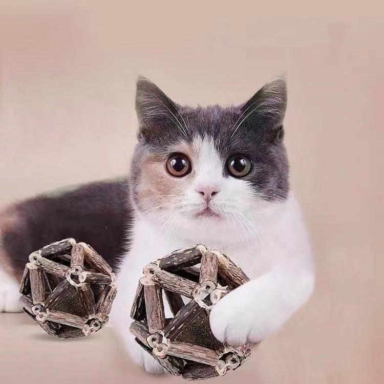 Cat Toys Catnip Ball Exquisite Pet Toy Mu Tian Liao Funny Stick Edible Bite Resistant Clean Teeth Increase Appetite Accessories
Cat Toys Catnip Ball Exquisite Pet Toy Mu Tian Liao Funny Stick Edible Bite Resistant Clean Teeth Increase Appetite Accessories