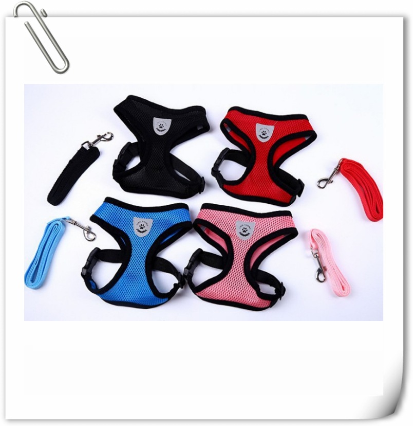 Dog Hand Holding Rope Teddy Pet Mesh Breathable Summer leashes Supplies Adjustable Chest Strap
Dog Hand Holding Rope Teddy Pet Mesh Breathable Summer leashes Supplies Adjustable Chest Strap