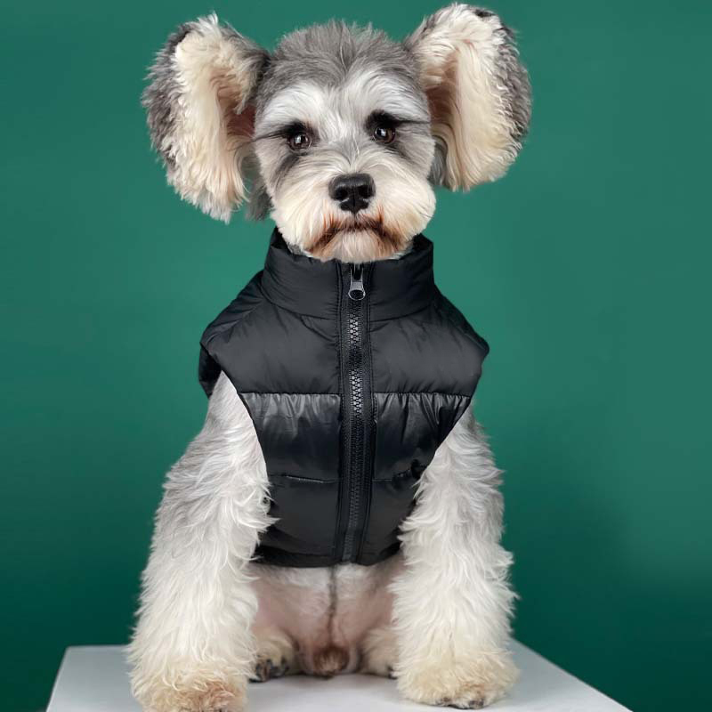 Down French Budog Dogs Vest Jacket Winter Warm Pet Dog Cothes Fashion Chihuahua French Budog Sma Medium-Sized Dog Coat X, Black
Down French Budog Dogs Vest Jacket Winter Warm Pet Dog Cothes Fashion Chihuahua French Budog Sma Medium-Sized Dog Coat X, Black