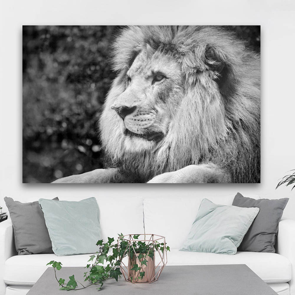 Home Decor Wall Painting Black And White Lion Picture Canvas Print Abstract Animal Poster For Living Room Decoration No Frame