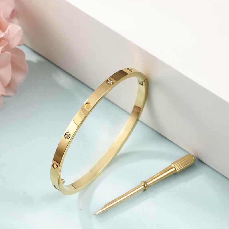 17CM Stainless Steel Love Bracelets silver rose gold bracelet Bangles Women Narrow Version Screw Screwdriver Bangle Designer Jewelry Wholesale
17CM Stainless Steel Love Bracelets silver rose gold bracelet Bangles Women Narrow Version Screw Screwdriver Bangle Designer Jewelry Wholesale