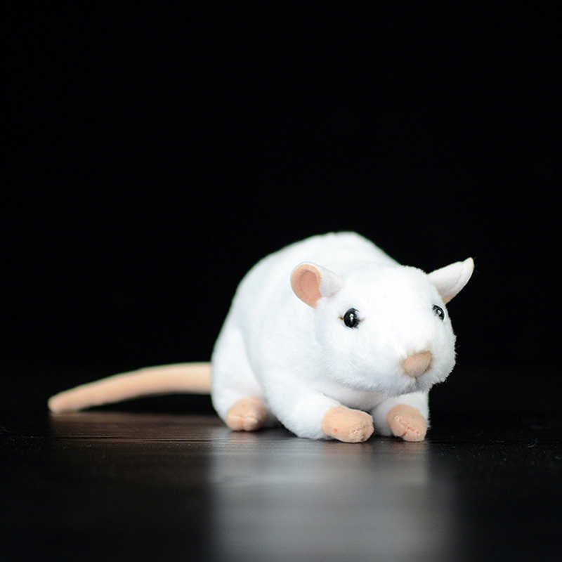 17cm Soft Cute White Mouse Simulation Stuffed Plush Toy Rat Lovely Kawaii Dolls Animal Mini Real Life Plush Toy Kids Child Gift Q0727
17cm Soft Cute White Mouse Simulation Stuffed Plush Toy Rat Lovely Kawaii Dolls Animal Mini Real Life Plush Toy Kids Child Gift Q0727