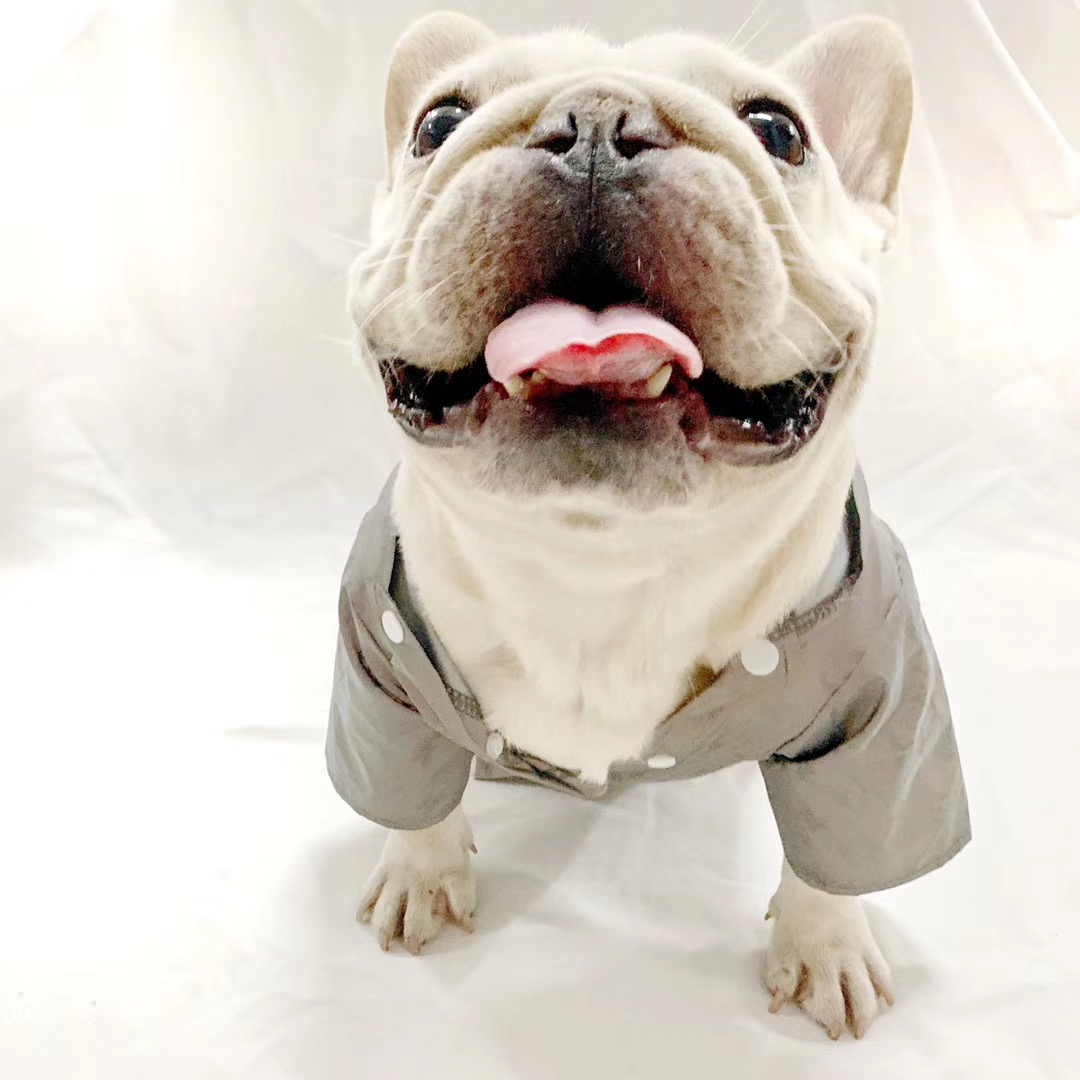 Fashion Pet Dog Cothes for Sma Dogs Cothing French Budog Refective Jacket Dog Accessories Puppy Chihuahua Hoodies PC1338, As pic. show
Fashion Pet Dog Cothes for Sma Dogs Cothing French Budog Refective Jacket Dog Accessories Puppy Chihuahua Hoodies PC1338, As pic. show