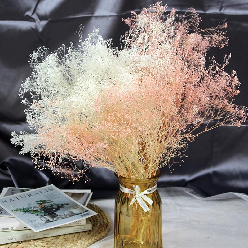 Decorative Flowers & Wreaths Eternell Gypsophila Dry Flower Preserved Million Babybreath Bouquet,Dried Natural Mini Babys Breath Wedding Hom, Orange
Decorative Flowers & Wreaths Eternell Gypsophila Dry Flower Preserved Million Babybreath Bouquet,Dried Natural Mini Babys Breath Wedding Hom, Orange