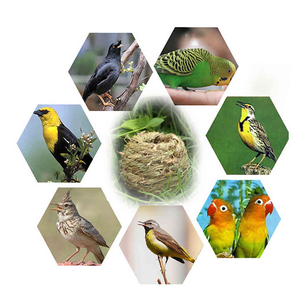 Hand-woven Birds Nest Natural Environmentally Cages Roosting Small Animals Hut Hanging House Decor Parrot Nest