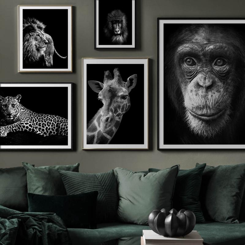 Paintings Animal Canvas Poster Black And White Wall Art Painting Tiger Monkey Decor Picture Room Decoration Aesthetic No Frame
Paintings Animal Canvas Poster Black And White Wall Art Painting Tiger Monkey Decor Picture Room Decoration Aesthetic No Frame