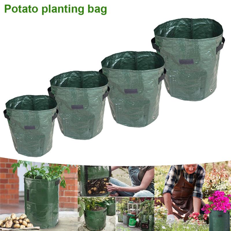 Bag Plant Sweet Potato Planter Tomato Vegetable Planting Bags Of Agricultural Home Gardening Tool Planters & Pots
Bag Plant Sweet Potato Planter Tomato Vegetable Planting Bags Of Agricultural Home Gardening Tool Planters & Pots