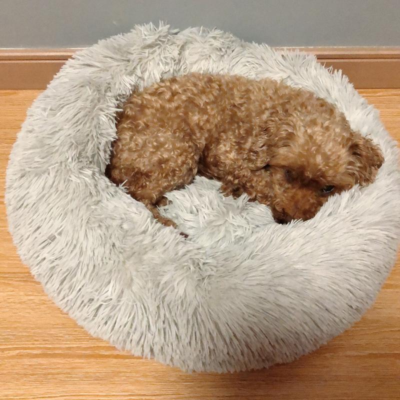 Kennels & Pens Round Soft Warm Dog Bed Comfortable Pet Cat Nest Washable House Kennel For Cats Dogs Easy-Clean Supplies от DHgate WW