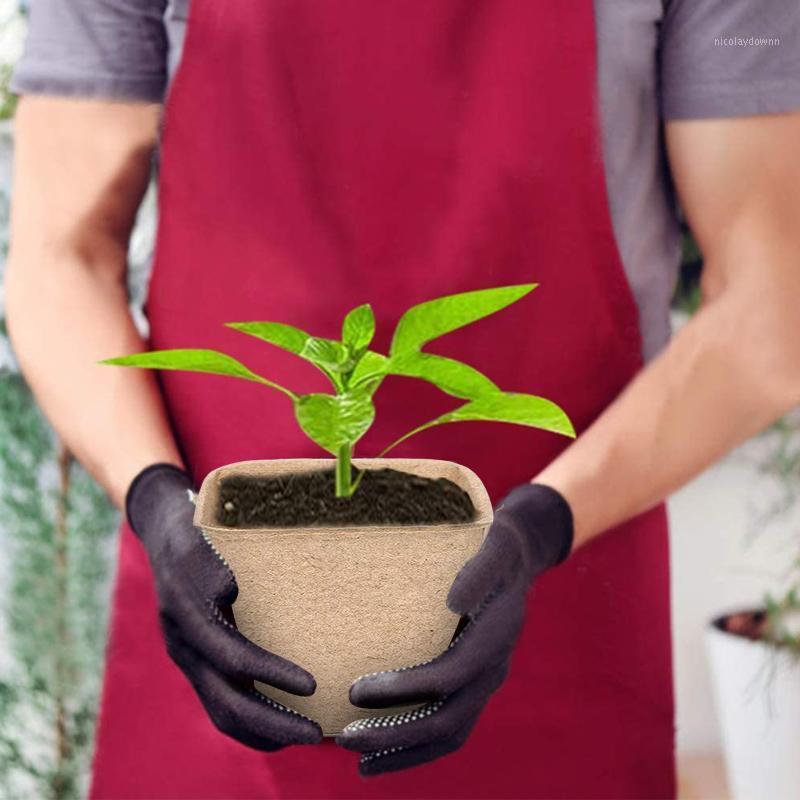 Planters & Pots 50pcs/set Square Seed Nursery Plant Starter Peat Flower Vegetable Seedlings Cup Paper Trays Garden Supplies 6CM#25
Planters & Pots 50pcs/set Square Seed Nursery Plant Starter Peat Flower Vegetable Seedlings Cup Paper Trays Garden Supplies 6CM#25