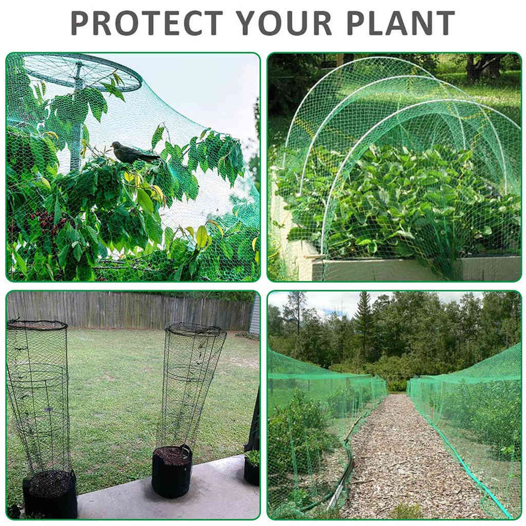 2x5/10m antibird plant network to cover fruit and vegetables mesh protection against hail mesh size 2.2cm