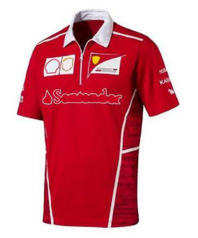2021 new men' F1 polo suit, F1 racing T-shirt, F1 shirt, same style customization
2021 new men' F1 polo suit, F1 racing T-shirt, F1 shirt, same style customization