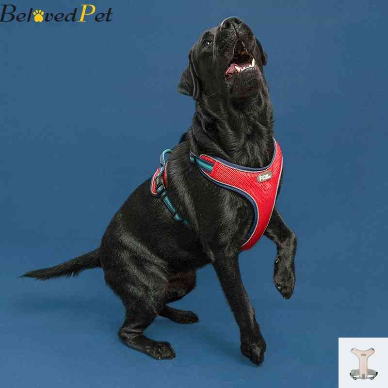 Dog's Harness Pet Chest Strap Outdoor Walking Reflective Adjustable Mesh Dog Chest Vest Printed French Bulldog Puppy Harness