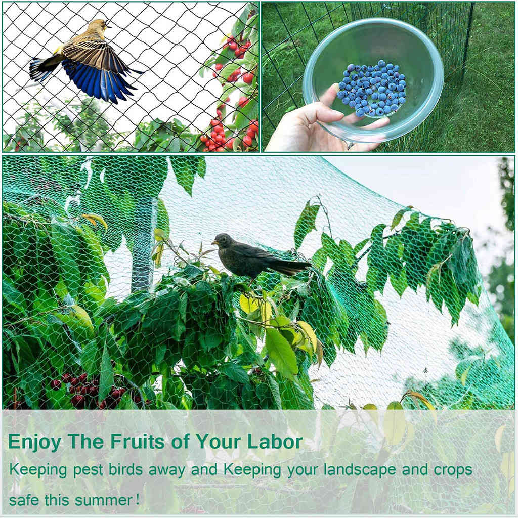 2x5/10m antibird plant network to cover fruit and vegetables mesh protection against hail mesh size 2.2cm
