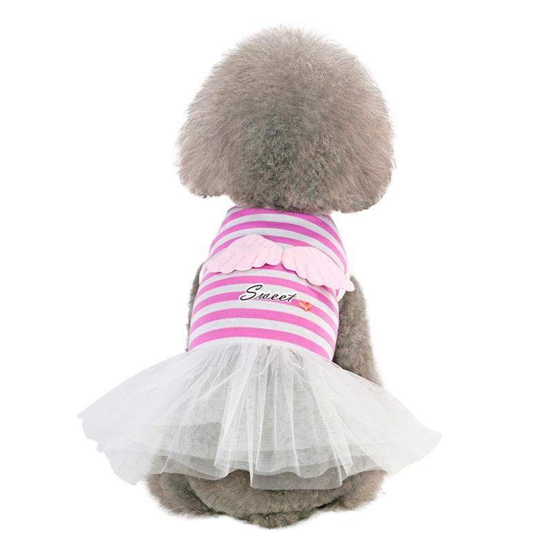 Dog Apparel Pet Spring Summer Sling Skirt, Small & Medium Dogs Sleeveless Dress, Stripes Top With Angel Wings Sweet Gaue Skirt
Dog Apparel Pet Spring Summer Sling Skirt, Small & Medium Dogs Sleeveless Dress, Stripes Top With Angel Wings Sweet Gaue Skirt