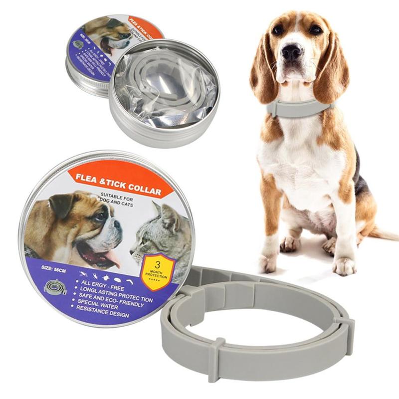 Dog Collars & Leashes Cat Anti Lice Flea Mite Tick Small Medium And Large Puppies Anti-Scorpion Pets Insect Repellent Collar Pet Supplies
Dog Collars & Leashes Cat Anti Lice Flea Mite Tick Small Medium And Large Puppies Anti-Scorpion Pets Insect Repellent Collar Pet Supplies
