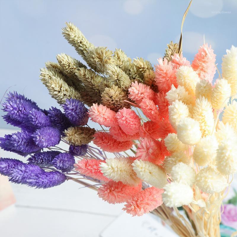 Decorative Flowers & Wreaths 20Pcs/lot Natural Dried Flower Tail Grass Bunches Lagurus Ovatus Bouquets Uraria Picta Pastoral Style De
Decorative Flowers & Wreaths 20Pcs/lot Natural Dried Flower Tail Grass Bunches Lagurus Ovatus Bouquets Uraria Picta Pastoral Style De