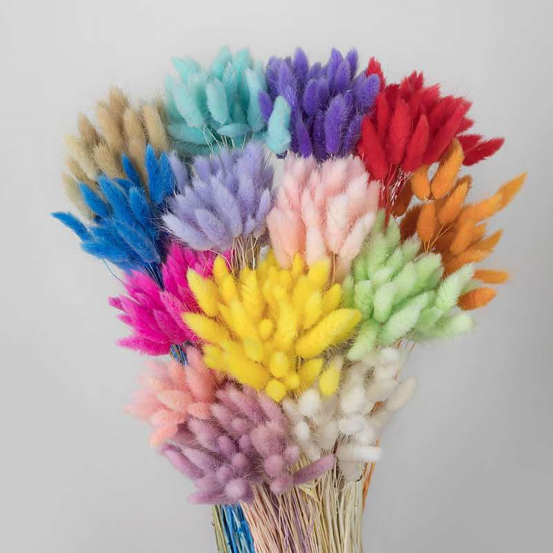Natural Stems Dried Bunny Tail Grass Rabbit Lagurus Ovatus for Home Decor Small Pampas Boho Wedding Bouquets and Flower Arrangement Tails Flowers Arrangements, As pics show
Natural Stems Dried Bunny Tail Grass Rabbit Lagurus Ovatus for Home Decor Small Pampas Boho Wedding Bouquets and Flower Arrangement Tails Flowers Arrangements, As pics show