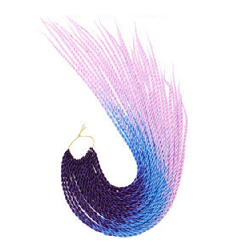 22 Inch Synthetic Hair Extensions Color Gradient Two Strand Braids 3 Colors Gradients Twos Strands Dirty Braidss Hair Crochet Wig WH0524