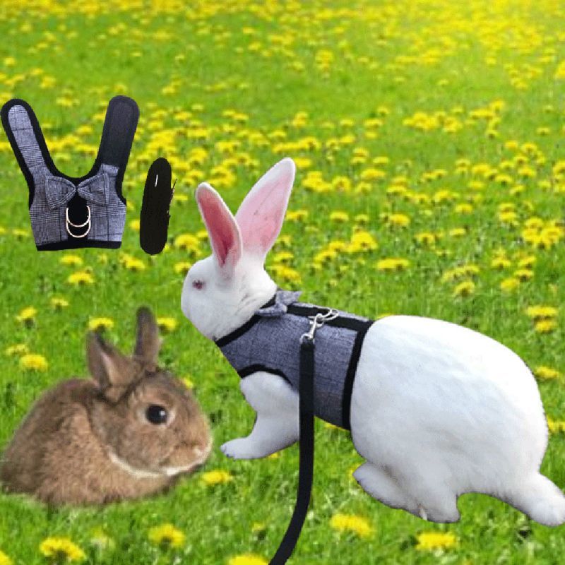 Rabbits Hamster Harnas Vest Met Leas Bunny Mesh Chest strap Harnassen Fret Cavia Small animals Household accessories S/M/L