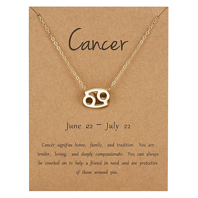 12 Models Zodiac Necklace Letter Pendent Constellation Necklace for Men Women Couple Lovers Jewelry Gift With Wish Card Wholesale Price