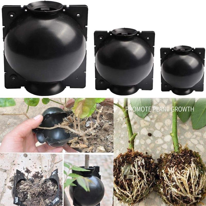 Plant Rooting Ball Grafting Growing Box Breeding Case For Garden High-pressure Propagation Sapling Planters & Pots
Plant Rooting Ball Grafting Growing Box Breeding Case For Garden High-pressure Propagation Sapling Planters & Pots