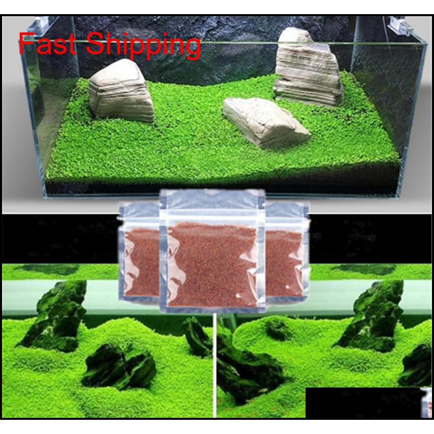 Other Supplies Patio, Lawn Garden Home & Gardenwholesale Aquarium Plants Water Aquatic Indoor Ornamental Plant Grass Seeds Fish Shrimp Tank
Other Supplies Patio, Lawn Garden Home & Gardenwholesale Aquarium Plants Water Aquatic Indoor Ornamental Plant Grass Seeds Fish Shrimp Tank